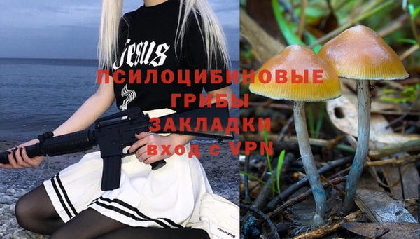 стафф Магадан