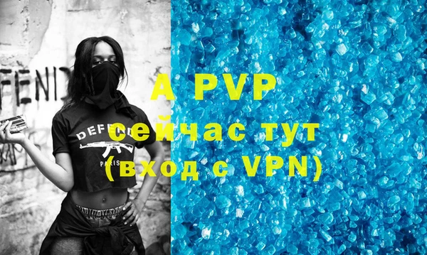 прущие грибы Майский