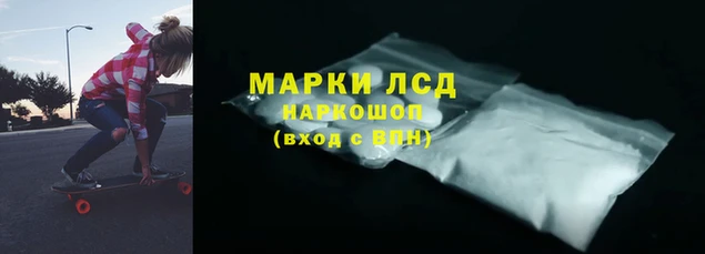 прущие грибы Майский