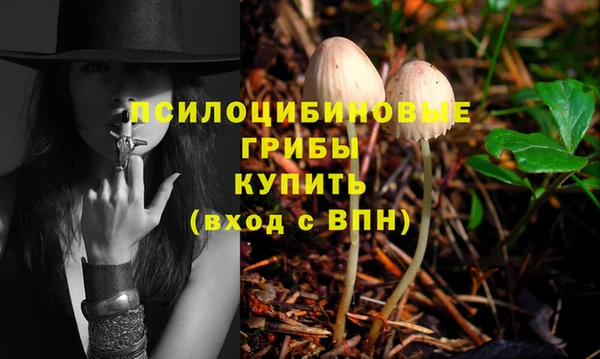 стафф Магадан