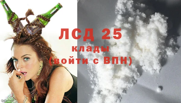 прущие грибы Майский