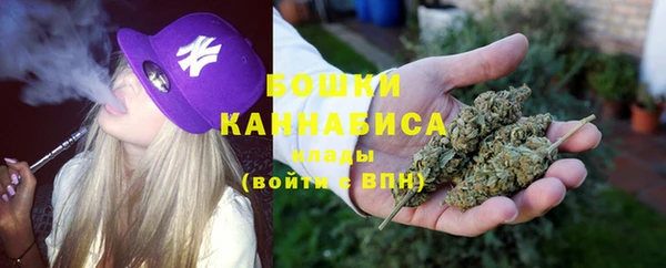 прущие грибы Майский