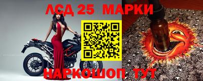 спиды Волгодонск