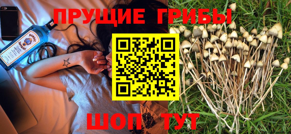Серпухов  купить закладку  Галлюциногенные грибы ЛСД  Вход с VPN  Галлюциногенные грибы ЛСД 